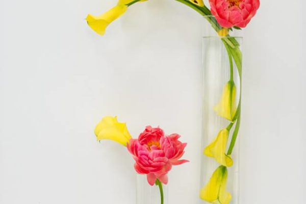 drissia-fleuriste-noel-abonnement-fleurs-decor-evenement-paris